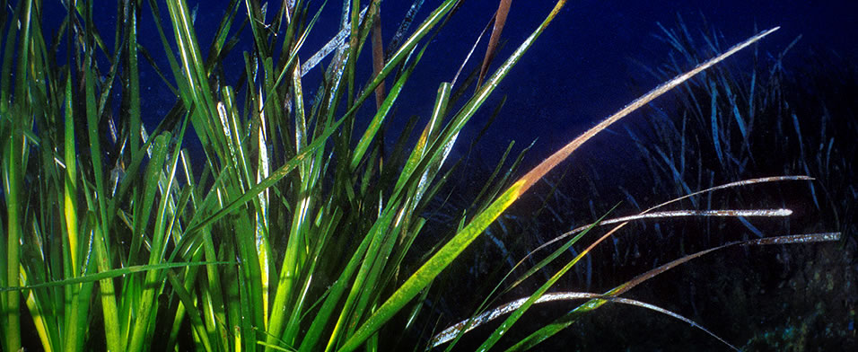 04_legislacio_normativa_02